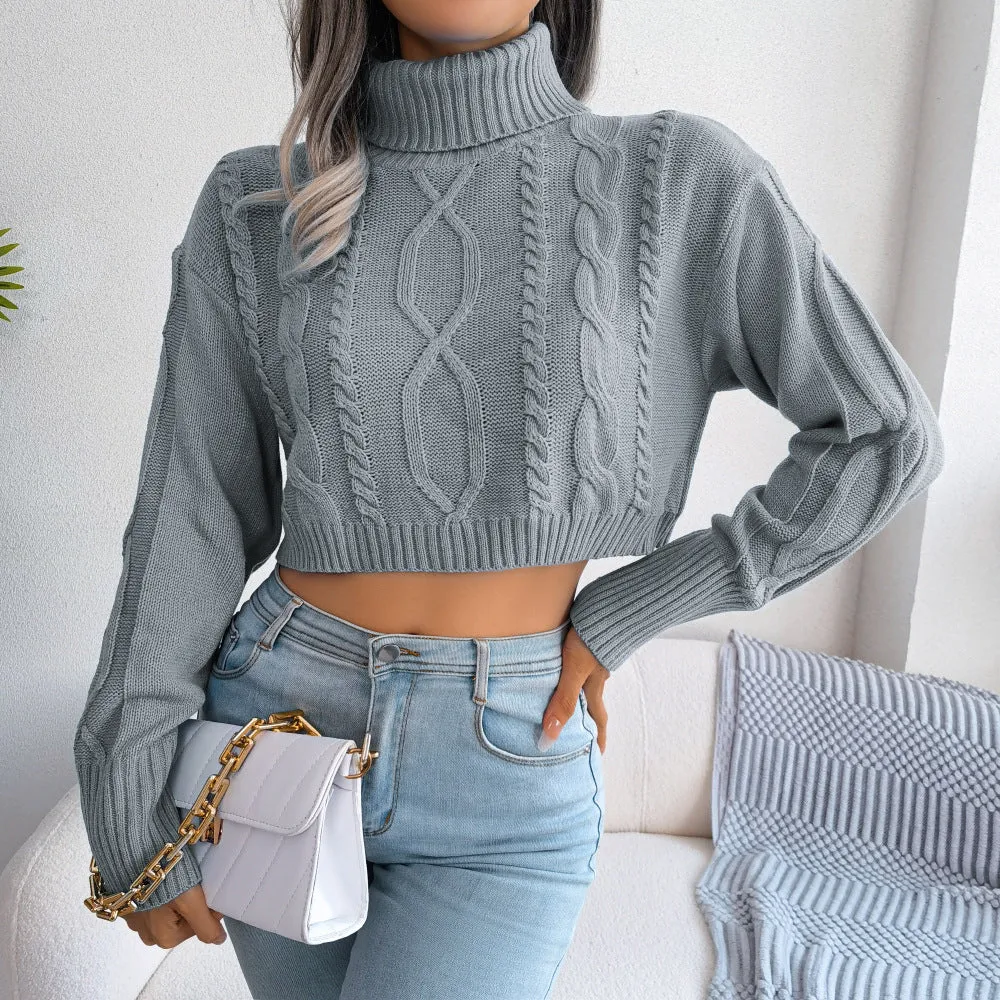 Mixed Knit Turtleneck Cropped Sweater